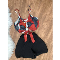 Conjunto ( cores pelo short )