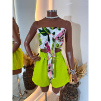 Conjunto (Cores pelo short)