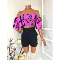 Conjunto (Cores pelo short)